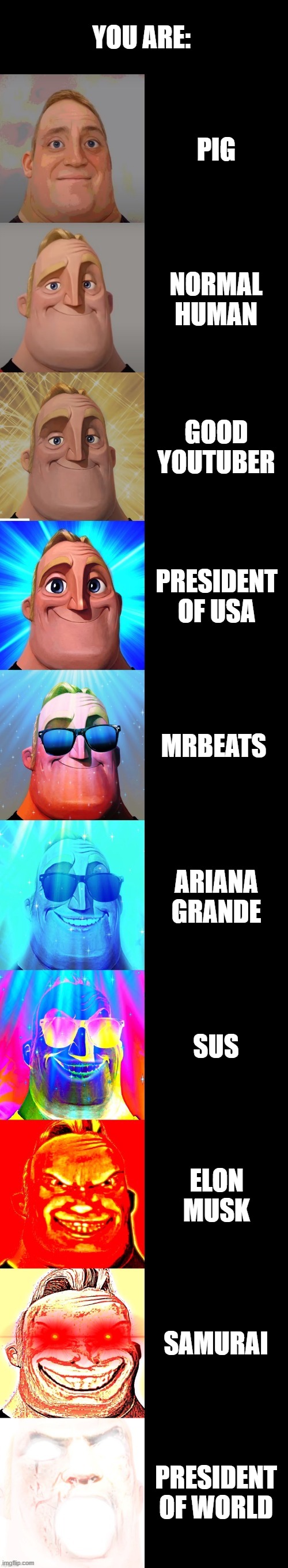 You Are: | YOU ARE:; PIG; NORMAL HUMAN; GOOD YOUTUBER; PRESIDENT OF USA; MRBEATS; ARIANA GRANDE; SUS; ELON MUSK; SAMURAI; PRESIDENT OF WORLD | image tagged in mr incredible becoming canny | made w/ Imgflip meme maker