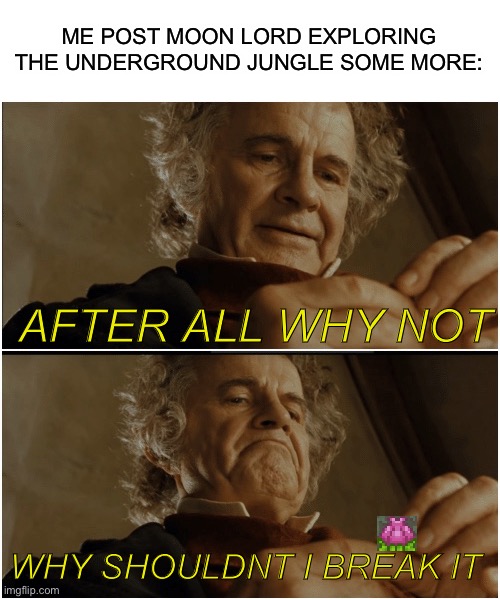 Does anyone else do this? | ME POST MOON LORD EXPLORING THE UNDERGROUND JUNGLE SOME MORE:; AFTER ALL WHY NOT; WHY SHOULDNT I BREAK IT | image tagged in bilbo - why shouldn t i keep it | made w/ Imgflip meme maker