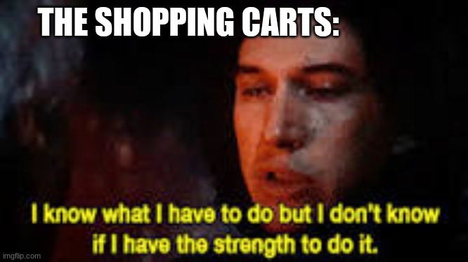 i know what i have to do | THE SHOPPING CARTS: | image tagged in i know what i have to do | made w/ Imgflip meme maker