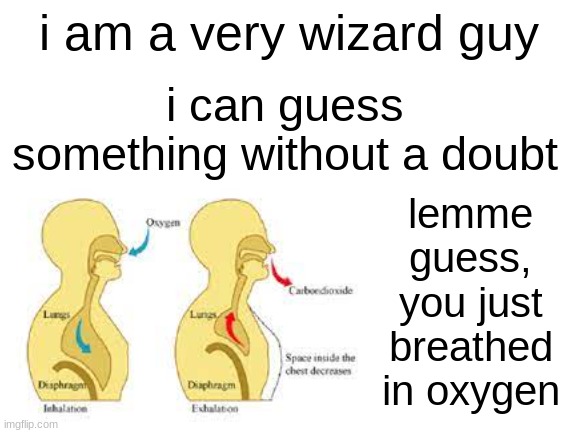 am wizard | i am a very wizard guy; i can guess something without a doubt; lemme guess, you just breathed in oxygen | image tagged in magic,suprising,meme | made w/ Imgflip meme maker
