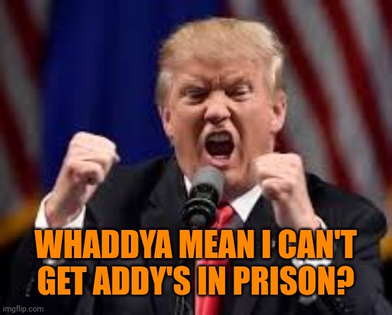 He's too pretty for prison anyway | WHADDYA MEAN I CAN'T GET ADDY'S IN PRISON? | image tagged in trump angry punch | made w/ Imgflip meme maker