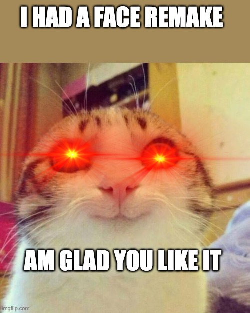 Smiling Cat Meme | I HAD A FACE REMAKE; AM GLAD YOU LIKE IT | image tagged in memes,smiling cat | made w/ Imgflip meme maker