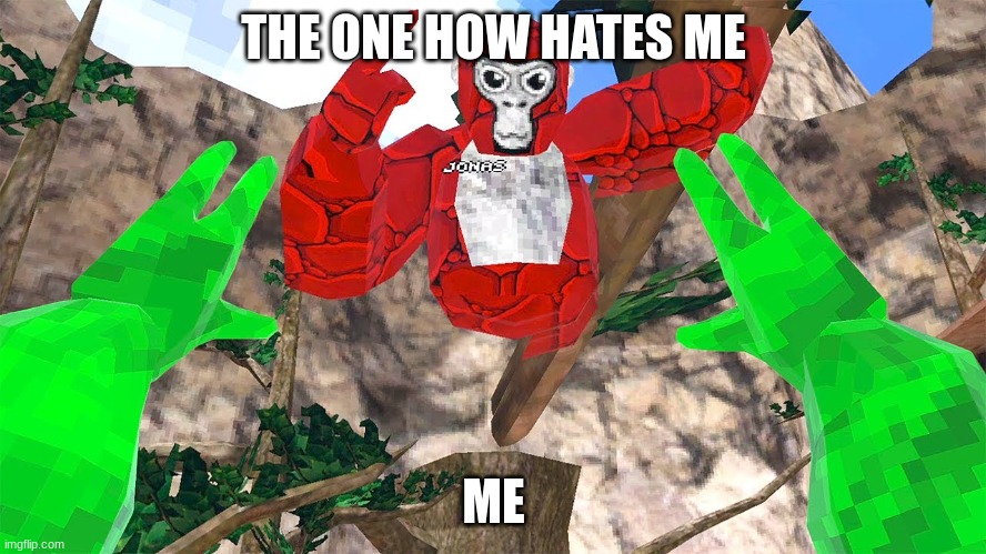 oh | THE ONE HOW HATES ME; ME | image tagged in red monke | made w/ Imgflip meme maker