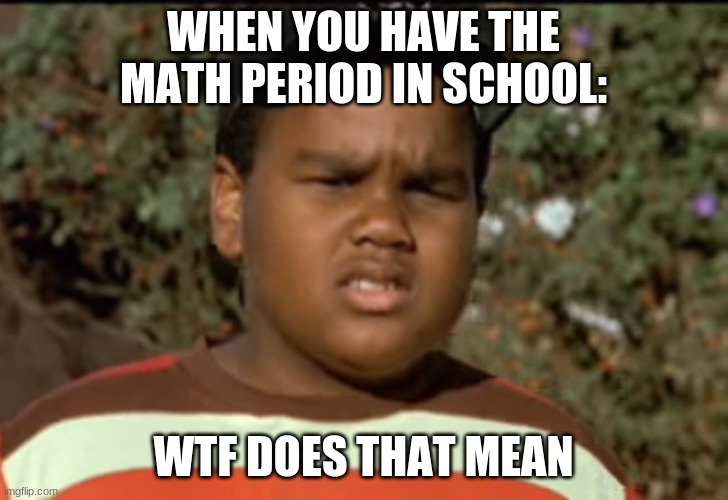 am i worng | WHEN YOU HAVE THE MATH PERIOD IN SCHOOL:; WTF DOES THAT MEAN | image tagged in funny memes,lol,school | made w/ Imgflip meme maker