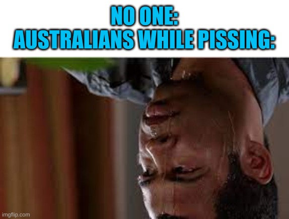 heh | NO ONE:
AUSTRALIANS WHILE PISSING: | image tagged in gravity,meanwhile in australia,lol so funny | made w/ Imgflip meme maker