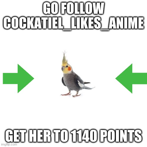 I dont know if following will give you points | GO FOLLOW COCKATIEL_LIKES_ANIME; GET HER TO 1140 POINTS | image tagged in memes,blank transparent square | made w/ Imgflip meme maker