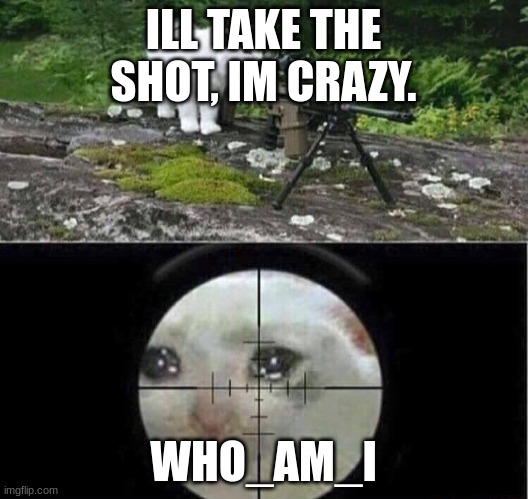 ill do it | ILL TAKE THE SHOT, IM CRAZY. WHO_AM_I | image tagged in sniper cat aim crying cat | made w/ Imgflip meme maker