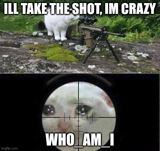 ill do it | ILL TAKE THE SHOT, IM CRAZY; WHO_AM_I | image tagged in sniper cat aim crying cat | made w/ Imgflip meme maker