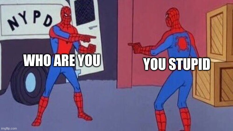 spiderman pointing at spiderman | WHO ARE YOU; YOU STUPID | image tagged in spiderman pointing at spiderman | made w/ Imgflip meme maker