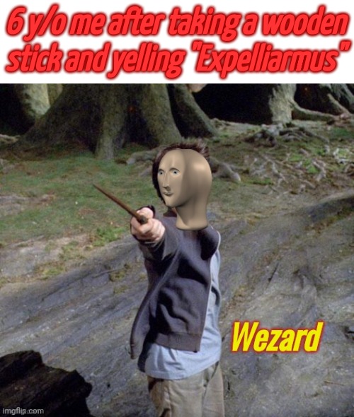Wezard | 6 y/o me after taking a wooden stick and yelling "Expelliarmus" | image tagged in wezard | made w/ Imgflip meme maker