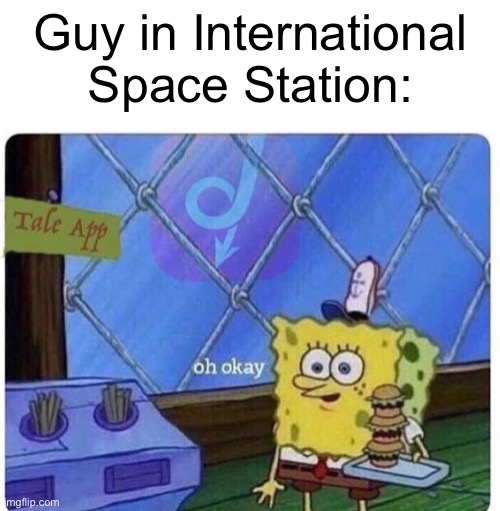 oh okay spongebob | Guy in International Space Station: | image tagged in oh okay spongebob | made w/ Imgflip meme maker
