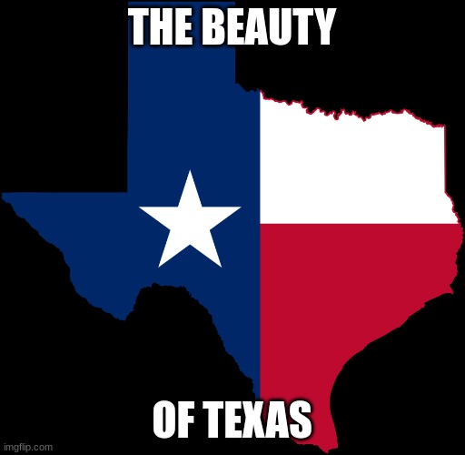 texas map | THE BEAUTY OF TEXAS | image tagged in texas map | made w/ Imgflip meme maker