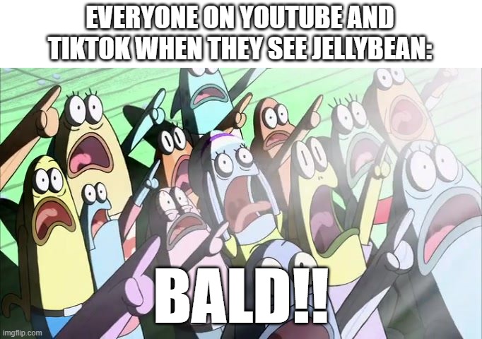bald | EVERYONE ON YOUTUBE AND TIKTOK WHEN THEY SEE JELLYBEAN: | image tagged in bald | made w/ Imgflip meme maker