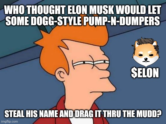 May be dumb butt I'm not stupid! Dumb Luck?#DogelontotheMars |  WHO THOUGHT ELON MUSK WOULD LET 
SOME DOGG-STYLE PUMP-N-DUMPERS; $ELON; STEAL HIS NAME AND DRAG IT THRU THE MUDD? | image tagged in memes,futurama fry,elon musk,mars,cryptocurrency,the great awakening | made w/ Imgflip meme maker