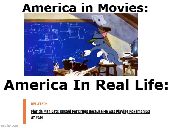 Not meant to be offensive | America in Movies:; America In Real Life: | image tagged in tom and jerry,america,pokemon,florida | made w/ Imgflip meme maker