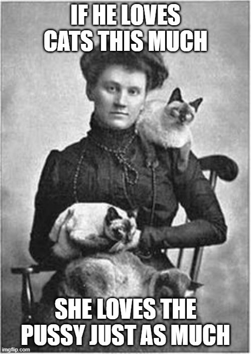 Lesbian Lover | IF HE LOVES CATS THIS MUCH; SHE LOVES THE PUSSY JUST AS MUCH | image tagged in vintage cat lady | made w/ Imgflip meme maker