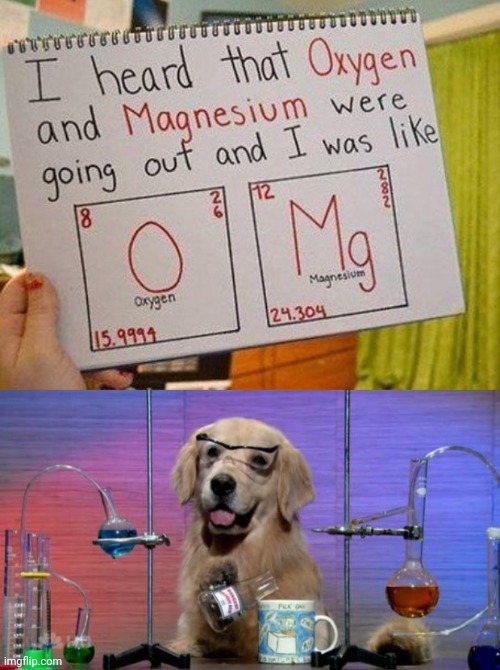 Oxygen and Magnesium | image tagged in chemistry dog,memes,meme,oxygen,chemistry,dating | made w/ Imgflip meme maker