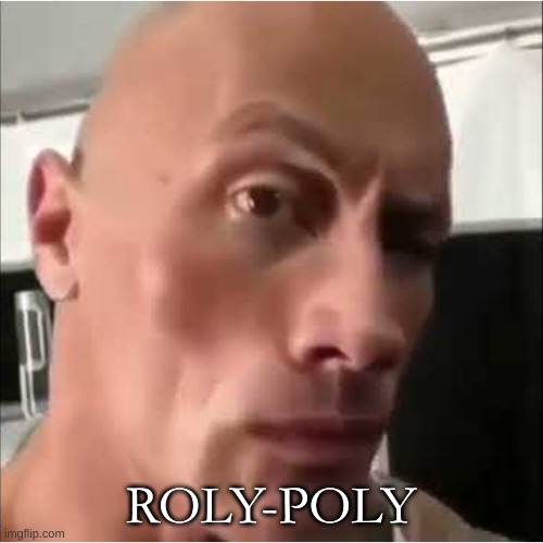 ROLY-POLY | made w/ Imgflip meme maker