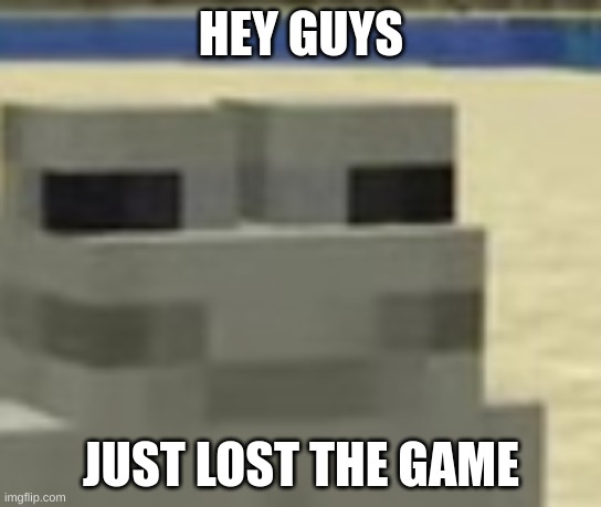 haha | HEY GUYS; JUST LOST THE GAME | image tagged in chill frog,memes,the game,minecraft | made w/ Imgflip meme maker