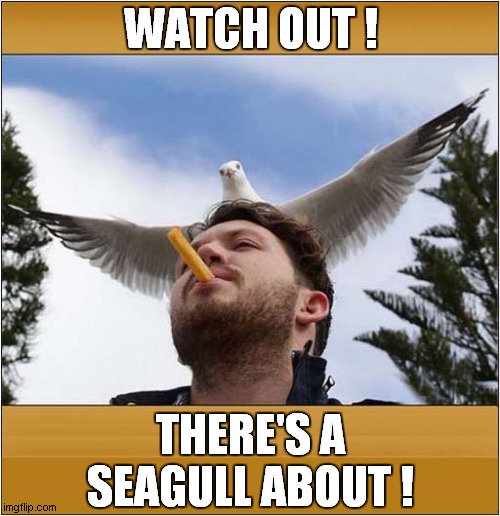 Chip Lovers Beware ! |  WATCH OUT ! THERE'S A SEAGULL ABOUT ! | image tagged in fun,chips,fries,seagull,beware | made w/ Imgflip meme maker