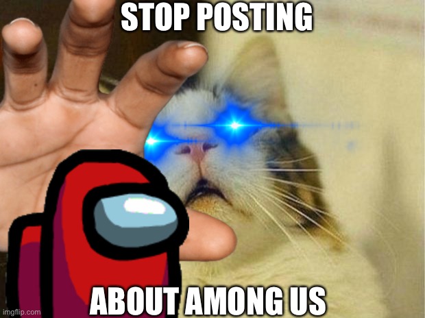 Stop posting about AMONG US | STOP POSTING; ABOUT AMONG US | image tagged in scared cat,among us,sans undertale | made w/ Imgflip meme maker