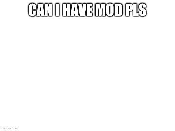 Asking for mod | CAN I HAVE MOD PLS | image tagged in blank white template | made w/ Imgflip meme maker
