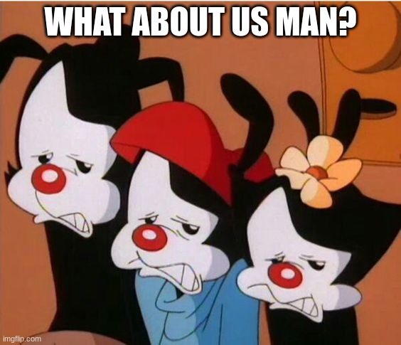 Animaniacs: Be Afraid | WHAT ABOUT US MAN? | image tagged in animaniacs be afraid | made w/ Imgflip meme maker
