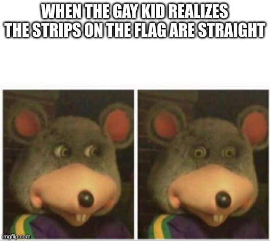 chuck e cheese rat stare | WHEN THE GAY KID REALIZES THE STRIPS ON THE FLAG ARE STRAIGHT | image tagged in chuck e cheese rat stare | made w/ Imgflip meme maker