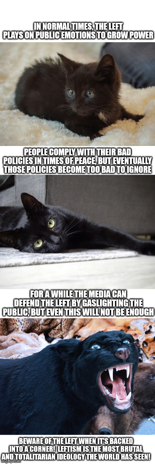 Beware leftism when it's exposed | IN NORMAL TIMES, THE LEFT PLAYS ON PUBLIC EMOTIONS TO GROW POWER; PEOPLE COMPLY WITH THEIR BAD POLICIES IN TIMES OF PEACE, BUT EVENTUALLY THOSE POLICIES BECOME TOO BAD TO IGNORE; FOR A WHILE THE MEDIA CAN DEFEND THE LEFT BY GASLIGHTING THE PUBLIC, BUT EVEN THIS WILL NOT BE ENOUGH; BEWARE OF THE LEFT WHEN IT'S BACKED INTO A CORNER!  LEFTISM IS THE MOST BRUTAL AND TOTALITARIAN IDEOLOGY THE WORLD HAS SEEN! | made w/ Imgflip meme maker