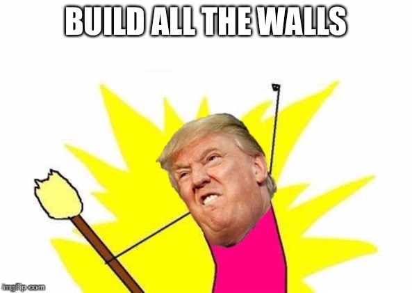 BUILD ALL THE WALLS | image tagged in trump x all the y | made w/ Imgflip meme maker