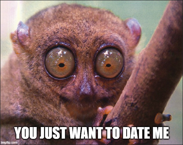 YOU JUST WANT TO DATE ME | made w/ Imgflip meme maker
