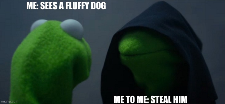 Evil Kermit Meme | ME: SEES A FLUFFY DOG; ME TO ME: STEAL HIM | image tagged in memes,evil kermit | made w/ Imgflip meme maker