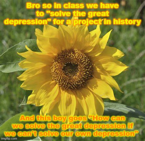 Bro so in class we have to "solve the great depression" for a project in history; And this boy goes "How can we solve the great depression if we can't solve our own depression" | made w/ Imgflip meme maker