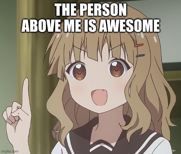 The person above me | THE PERSON ABOVE ME IS AWESOME | image tagged in the person above me | made w/ Imgflip meme maker