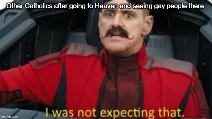 I was not expecting that | Other Catholics after going to Heaven and seeing gay people there | image tagged in i was not expecting that | made w/ Imgflip meme maker