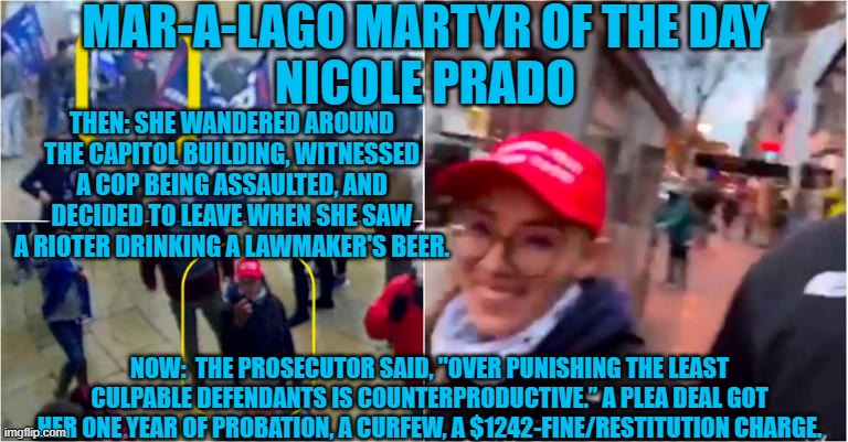 Let's make a deal! | MAR-A-LAGO MARTYR OF THE DAY
NICOLE PRADO; THEN: SHE WANDERED AROUND THE CAPITOL BUILDING, WITNESSED A COP BEING ASSAULTED, AND DECIDED TO LEAVE WHEN SHE SAW A RIOTER DRINKING A LAWMAKER'S BEER. NOW:  THE PROSECUTOR SAID, "OVER PUNISHING THE LEAST CULPABLE DEFENDANTS IS COUNTERPRODUCTIVE.” A PLEA DEAL GOT HER ONE YEAR OF PROBATION, A CURFEW, A $1242-FINE/RESTITUTION CHARGE. | image tagged in politics | made w/ Imgflip meme maker