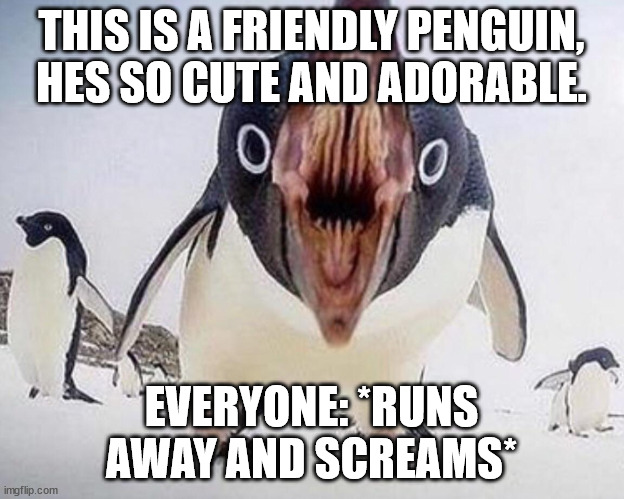 THIS IS A FRIENDLY PENGUIN, HES SO CUTE AND ADORABLE. EVERYONE: *RUNS AWAY AND SCREAMS* | made w/ Imgflip meme maker