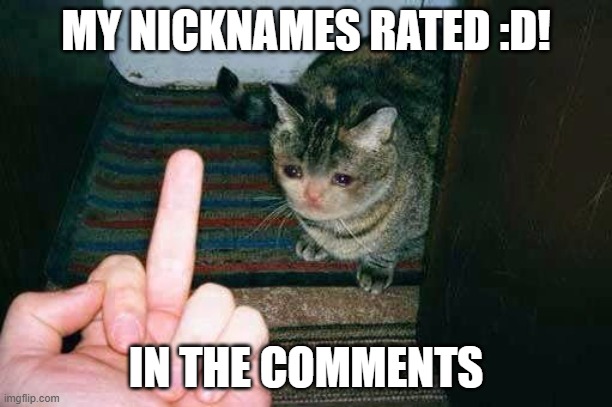middle finger sad cat | MY NICKNAMES RATED :D! IN THE COMMENTS | image tagged in middle finger sad cat | made w/ Imgflip meme maker