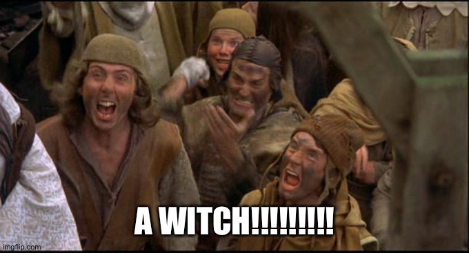 Monty Python witch | A WITCH!!!!!!!!! | image tagged in monty python witch | made w/ Imgflip meme maker