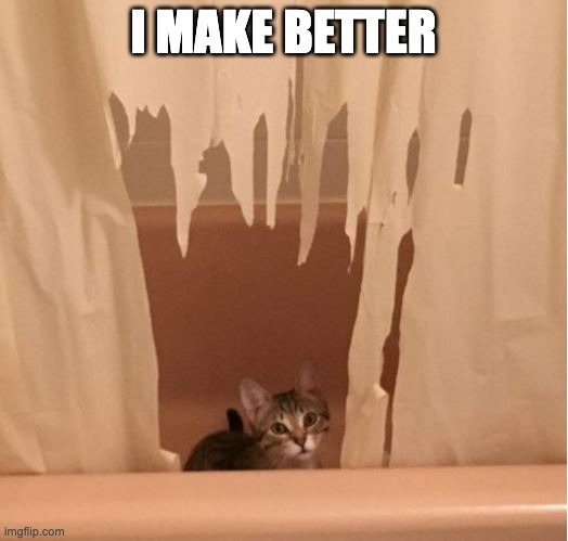 i Make Better | I MAKE BETTER | image tagged in cat shredding curtains,pride,proud,good job | made w/ Imgflip meme maker