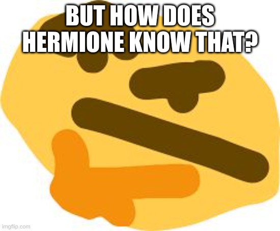 Thonk | BUT HOW DOES HERMIONE KNOW THAT? | image tagged in thonk | made w/ Imgflip meme maker