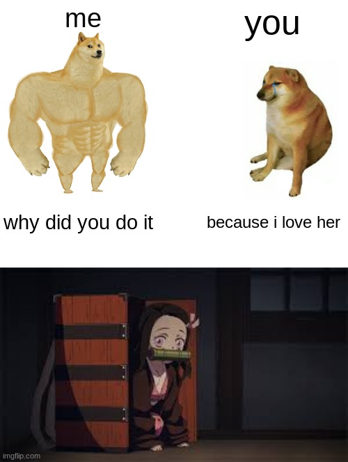 me; you; why did you do it; because i love her | image tagged in memes,buff doge vs cheems,demon slayer nezuko | made w/ Imgflip meme maker