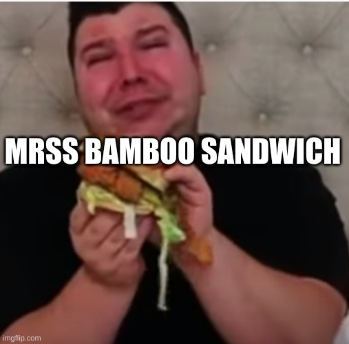 mrs bamboo sandwich | MRSS BAMBOO SANDWICH | image tagged in funny | made w/ Imgflip meme maker