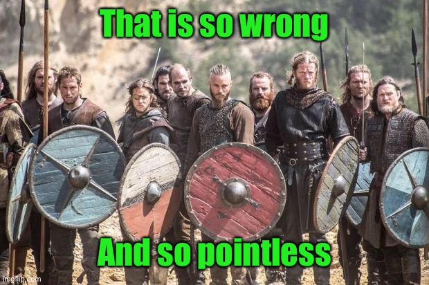 Vikings | That is so wrong And so pointless | image tagged in vikings | made w/ Imgflip meme maker
