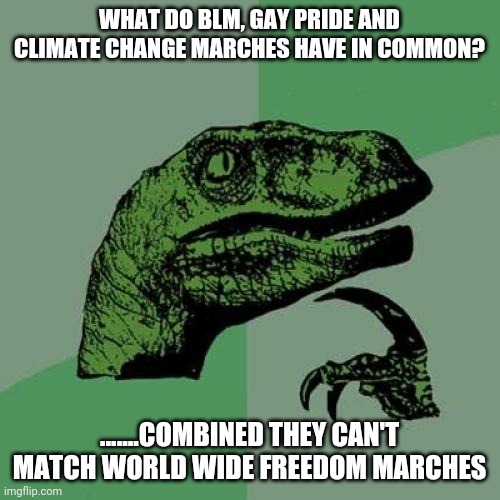 Philosoraptor | WHAT DO BLM, GAY PRIDE AND CLIMATE CHANGE MARCHES HAVE IN COMMON? .......COMBINED THEY CAN'T MATCH WORLD WIDE FREEDOM MARCHES | image tagged in memes,philosoraptor | made w/ Imgflip meme maker