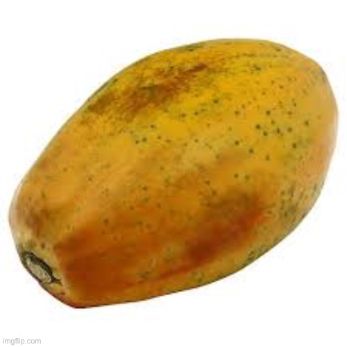 How popular can you get a papaya | image tagged in papaya | made w/ Imgflip meme maker