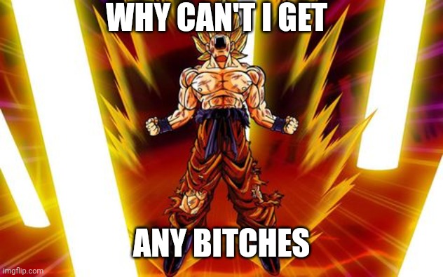 Goku Screaming | WHY CAN'T I GET; ANY BITCHES | image tagged in goku | made w/ Imgflip meme maker