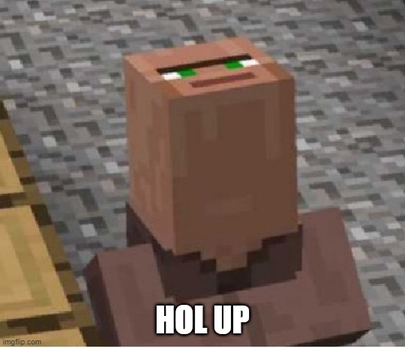 Minecraft Villager Looking Up | HOL UP | image tagged in minecraft villager looking up | made w/ Imgflip meme maker