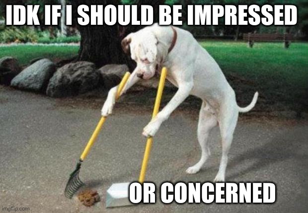 Umm | IDK IF I SHOULD BE IMPRESSED; OR CONCERNED | image tagged in dog poop | made w/ Imgflip meme maker