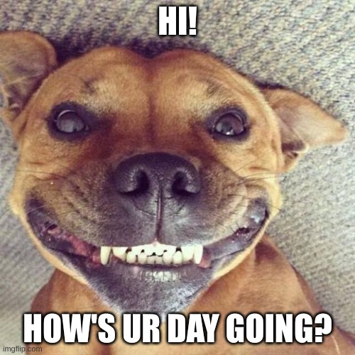 How you doing? | HI! HOW'S UR DAY GOING? | image tagged in smiling dog | made w/ Imgflip meme maker